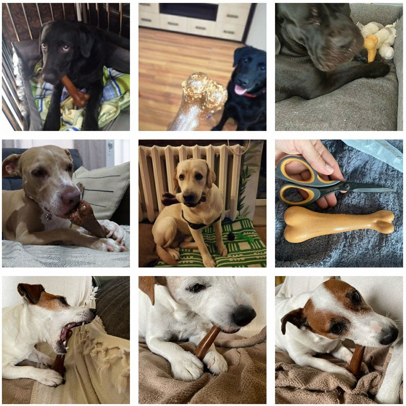 Osso para cachorro mastigável
