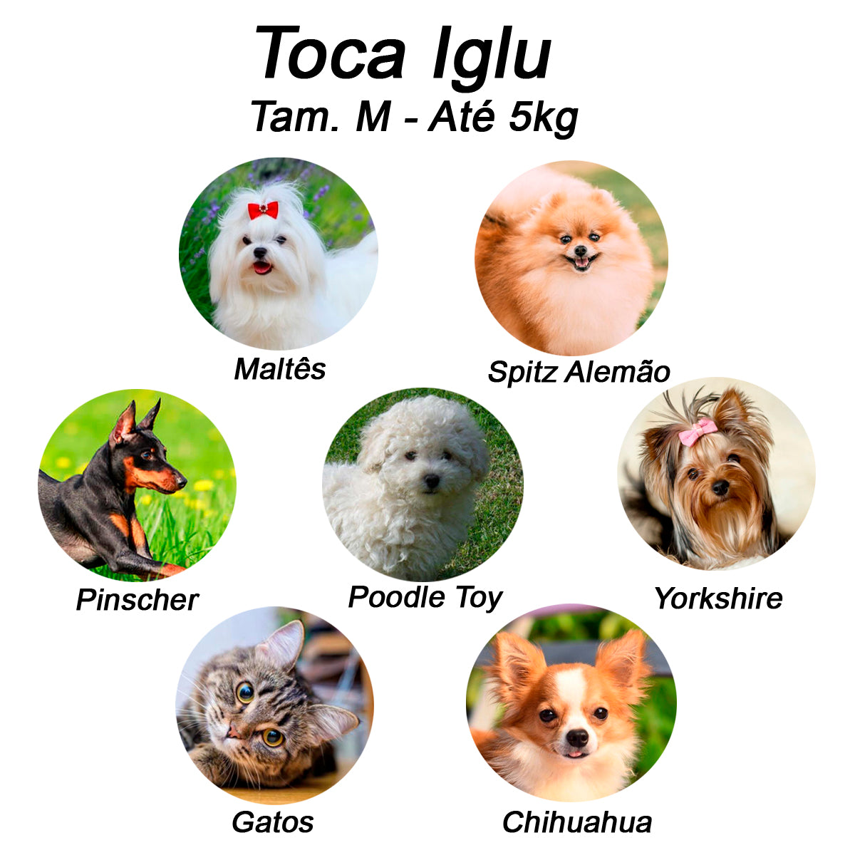 Cama Iglu e Toca Para Cachorro Luppet Luxo Preto Poa Tamanho:M