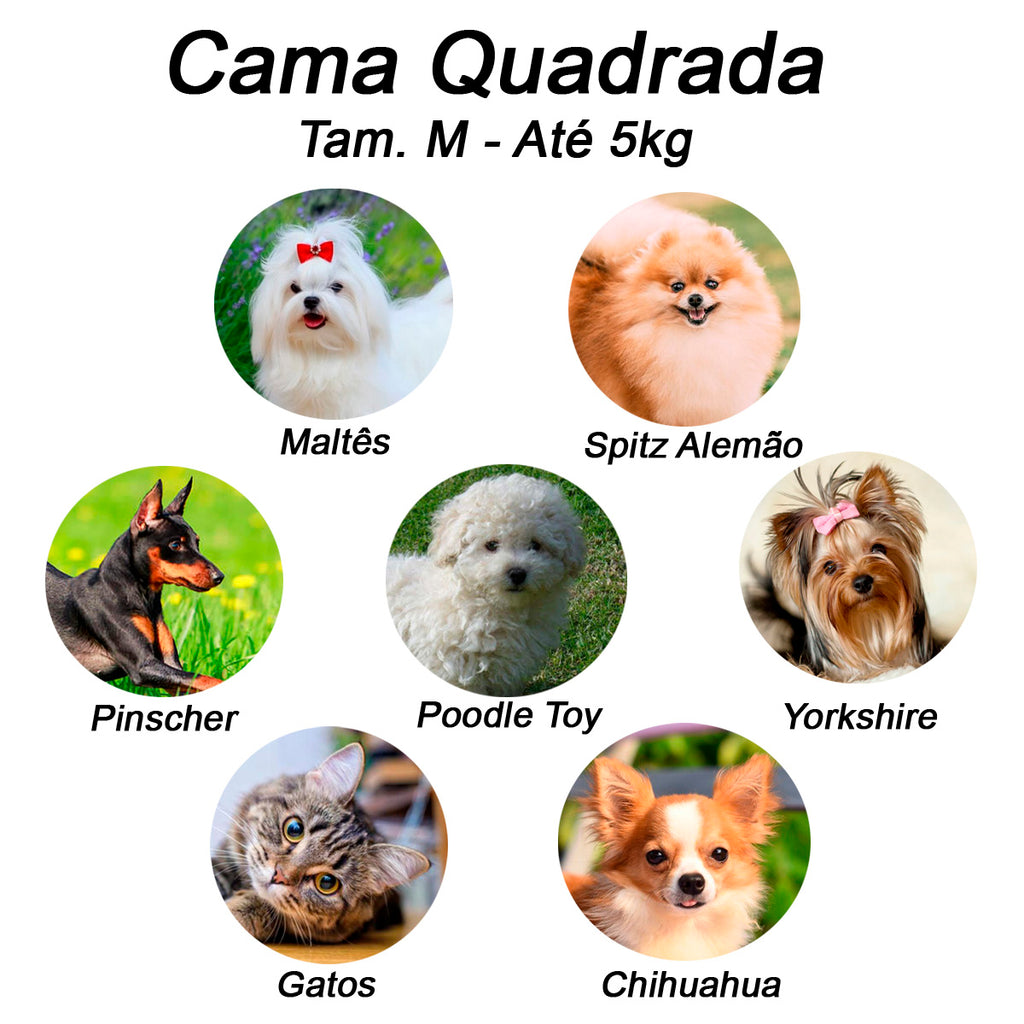 Cama Quadrada para Cachorro ou Gato Luppet Vermelho Joaninha